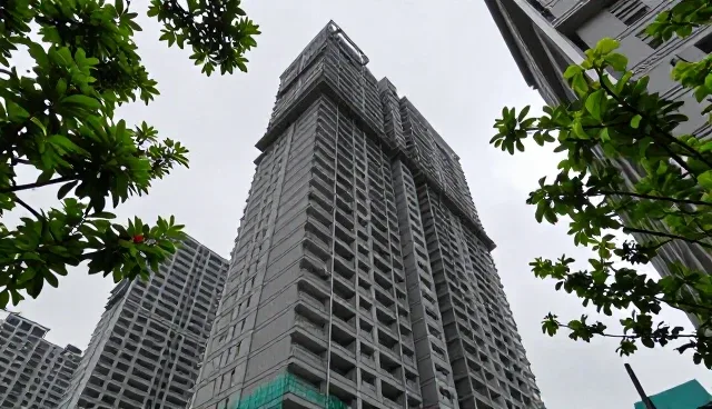 基础保洁套餐如何应对绿化养护难题？