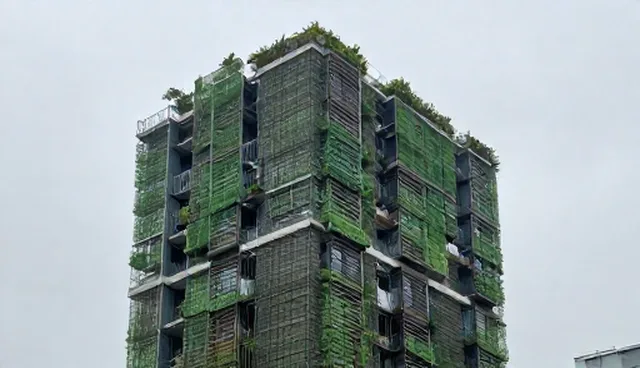 物业绿化养护套餐:选择外包还是自营,如何取舍